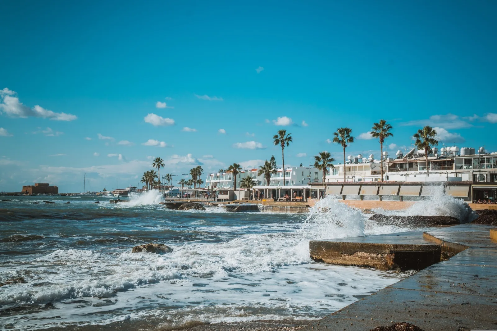 Waves breaking against the palm-lined seafront promenade in Paphos
