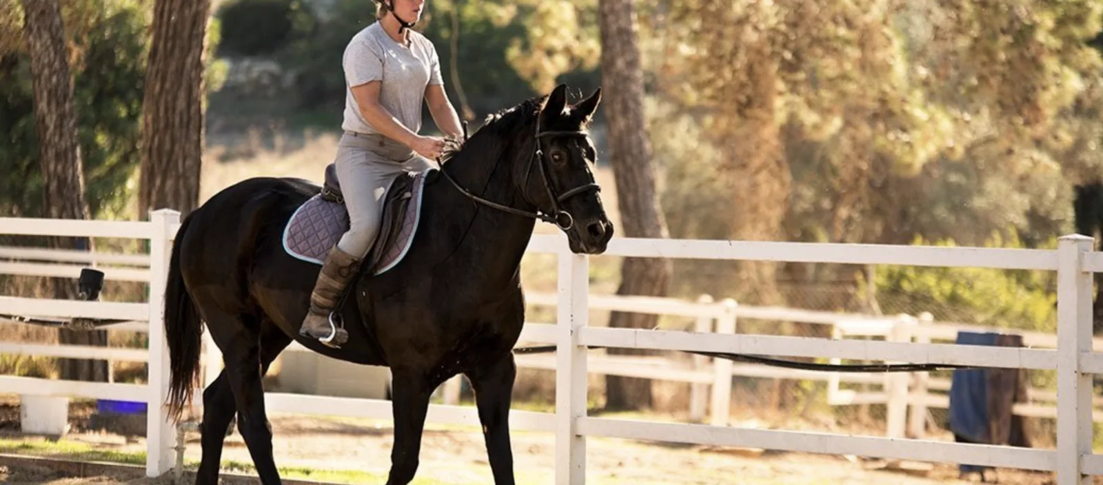 Horse and rider at the equestrian centre near Aphrodite Hills